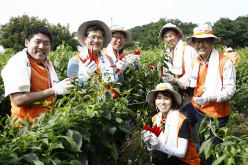  차남규 한화생명 사장(왼쪽 두번째)과 직원들이 파주 어우지동산에서 고추 수확을 하고 있다. ⓒ 한화생명