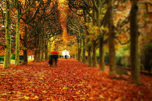  국내 특급호텔들이 가을을 맞아 감성과 힐링을 느낄 수 있는 다양한 패키지를 선보이고 있다. ⓒ 더 플라자