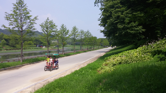  관방제림 낙우송 가로수길 ⓒ담양군청