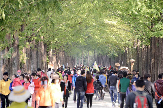  2013년 제3회 메타세쿼이아 가로수축제를 찾은 인파 ⓒ담양군청